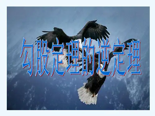 初二(下)勾股定理逆定理2