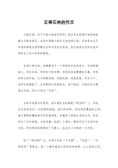 云南石林的作文