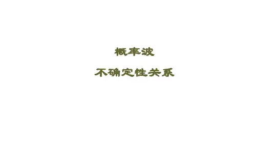 概率波、不确定性关系 课件