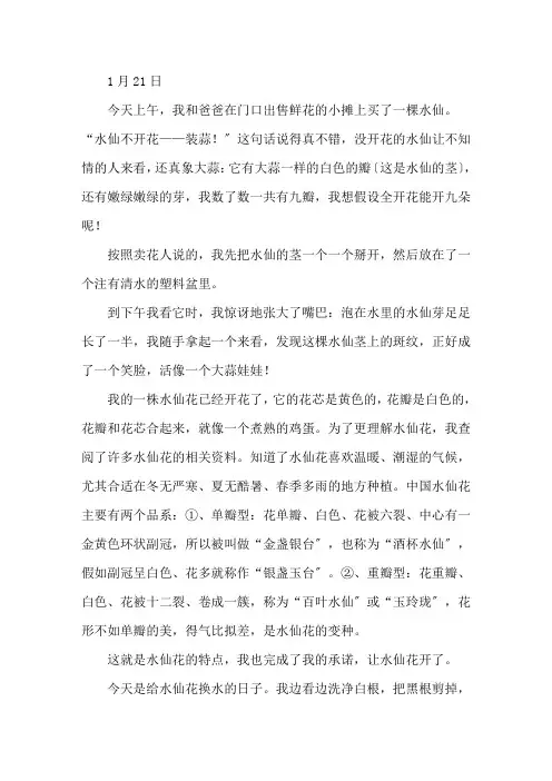 水仙花观察日记精选15篇精选