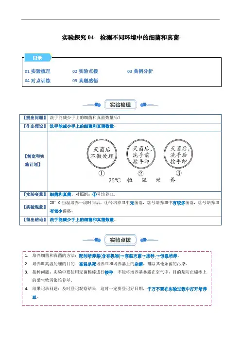 【八年级上册生物实验】实验探究04 检测不同环境中的细菌和真菌(原卷版)