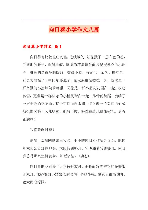 向日葵小学作文八篇