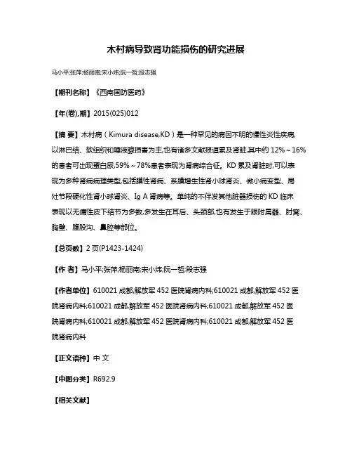 木村病导致肾功能损伤的研究进展