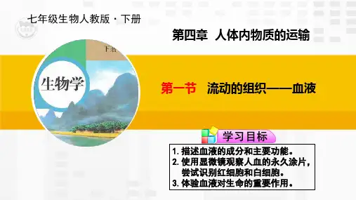 4.4.1 流动的组织——血液 课件 人教版七年级生物下册