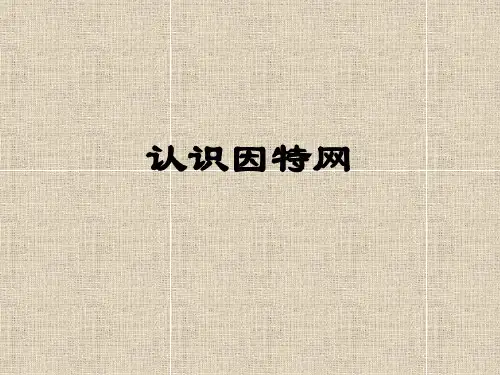 因特网概述