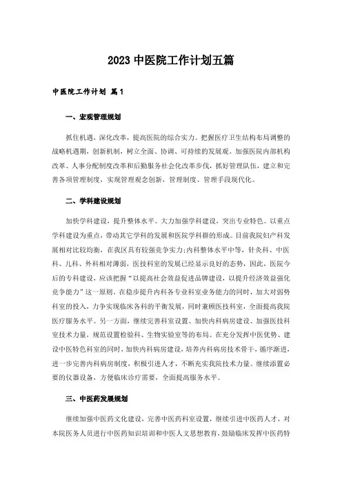 2023中医院工作计划五篇