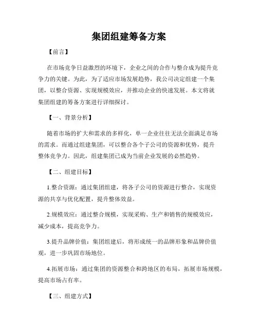 集团组建筹备方案