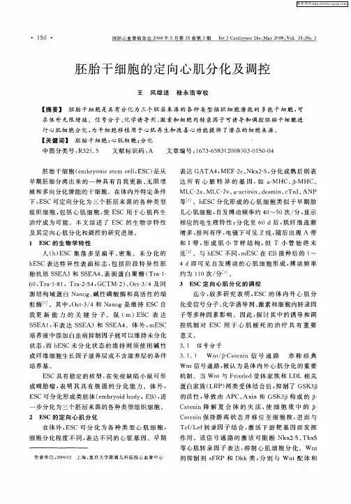 胚胎干细胞的定向心肌分化及调控
