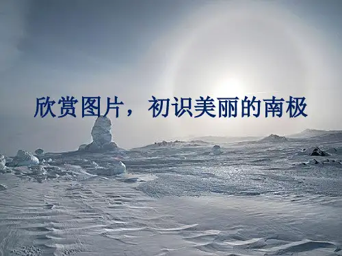 人教版语文七年级下( 部编版)第21课《伟大的悲剧》课件(共49张PPT)
