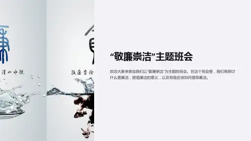 “敬廉崇洁”主题班会