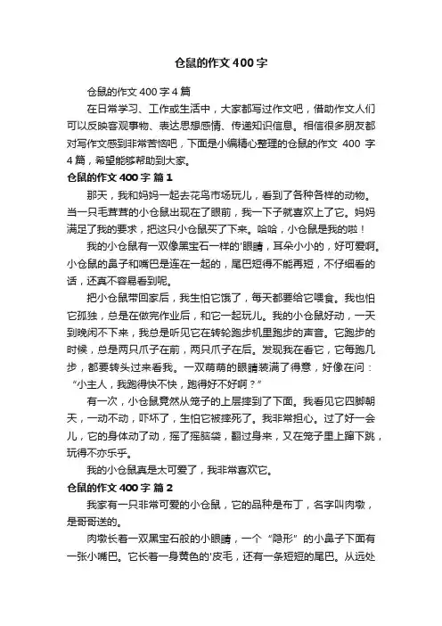 仓鼠的作文400字