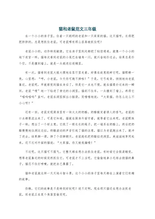 猫和老鼠范文三年级