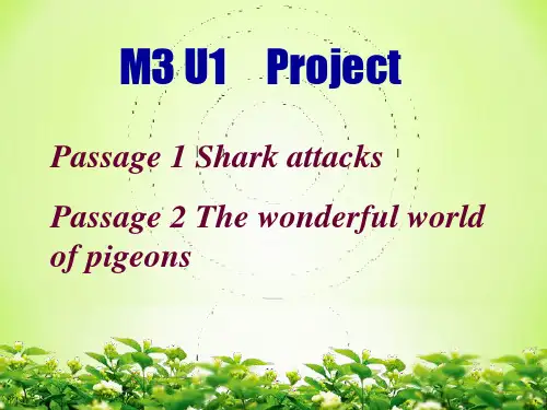 最新牛津英语 M3U1Project