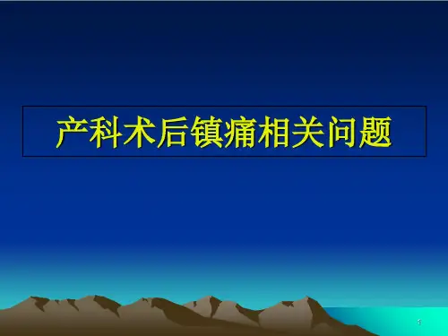 产科术后镇痛相关问题PPT课件