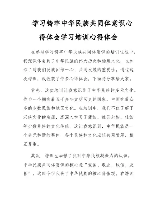 学习铸牢中华民族共同体意识心得体会学习培训心得体会