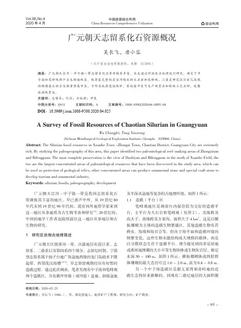 广元朝天志留系化石资源概况