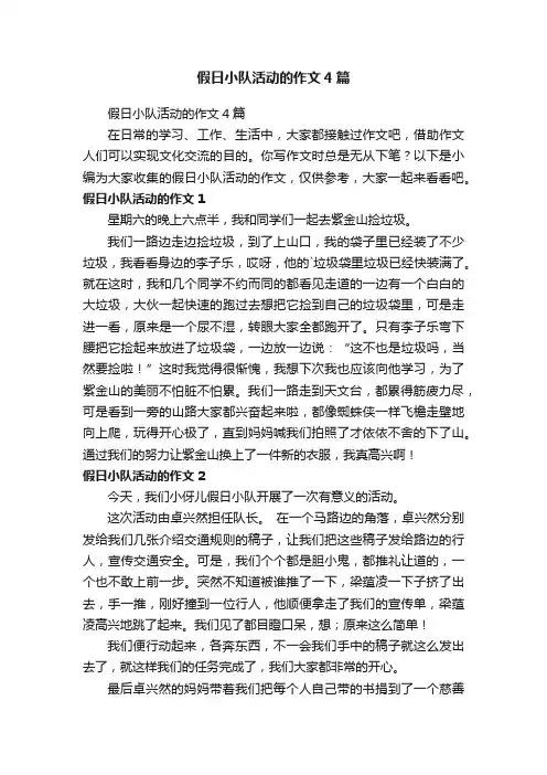 假日小队活动的作文4篇
