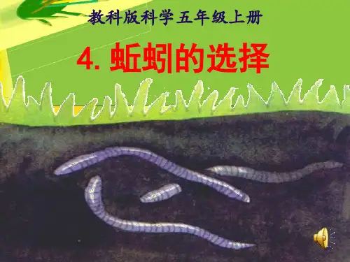 蚯蚓的选择ppt课件