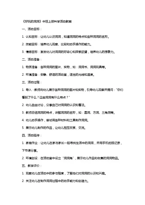 《好玩的洞洞》中班上册科学活动教案