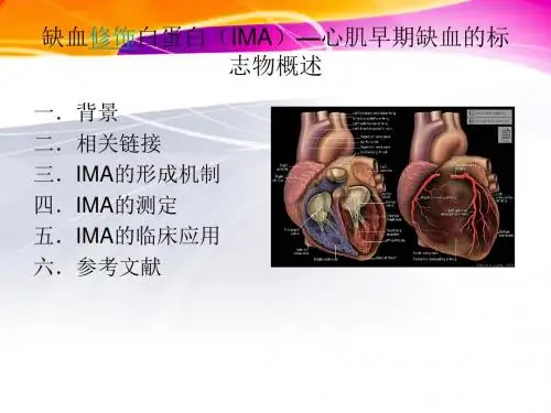 缺血修饰白蛋白