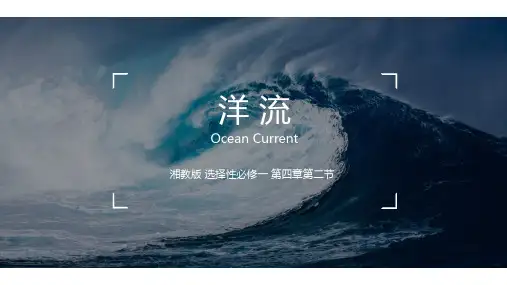 4.2 《洋流》课件 2024-2025学年 高中地理湘教版(2019)选择性必修1
