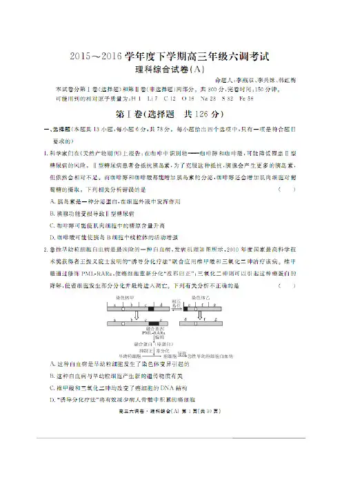 河北省衡水中学2020届高三下学期六调考试理综生物试题(PDF版含答案)