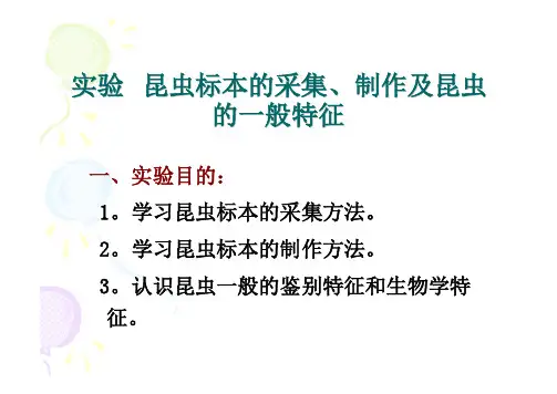 试验昆虫标本的采集制作及昆虫的一般特征