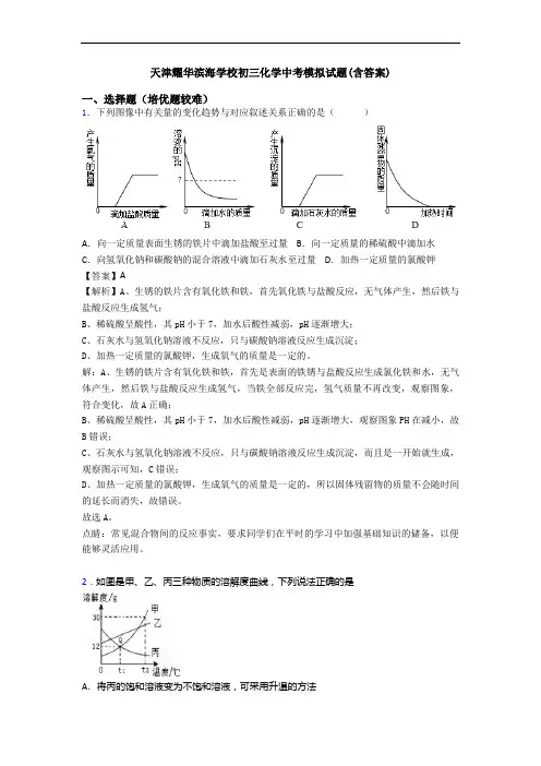 天津耀华滨海学校初三化学中考模拟试题(含答案)