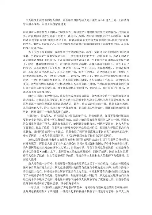 《霓虹灯下的哨兵》概述