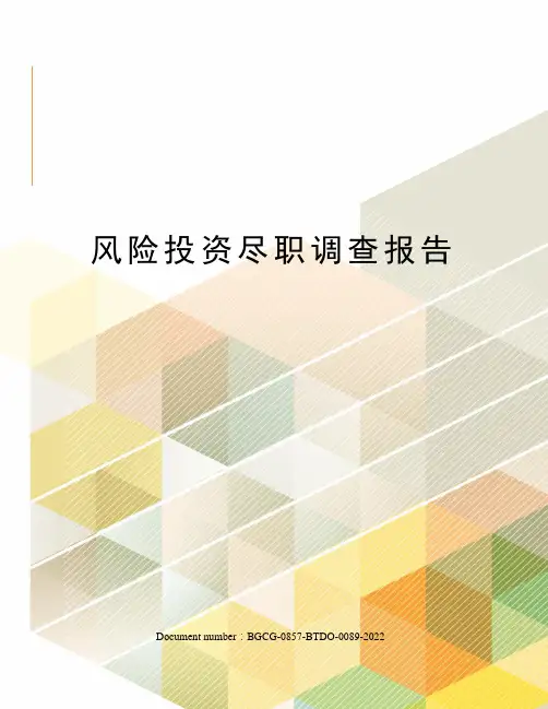 风险投资尽职调查报告