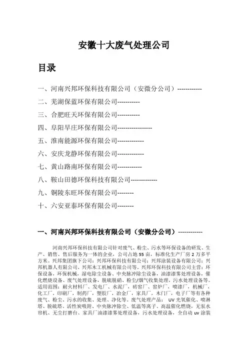 安徽十大废气处理公司