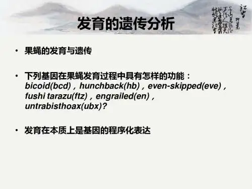 发育的遗传分析(稿)