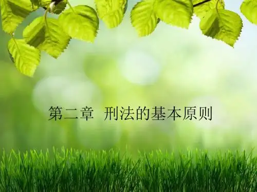 《刑法》课件第二章 刑法的基本原则