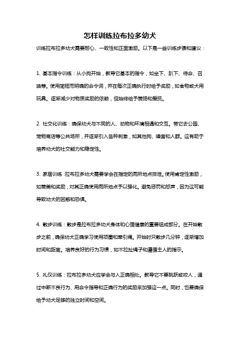 怎样训练拉布拉多幼犬