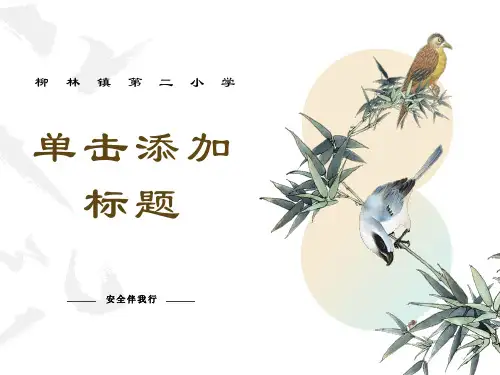 《安全伴我行》主题班会PPT课件