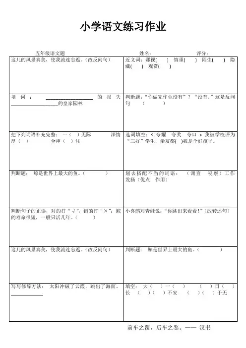 小学五年级语文精题选做IV (48)