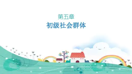 第四章 初级社会群体