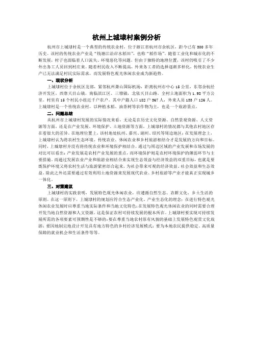 杭州上城埭村案例分析