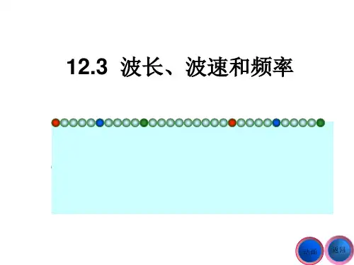 波的图象(波长、频率和波速)