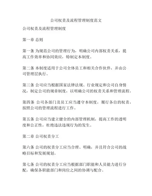 公司权责及流程管理制度范文