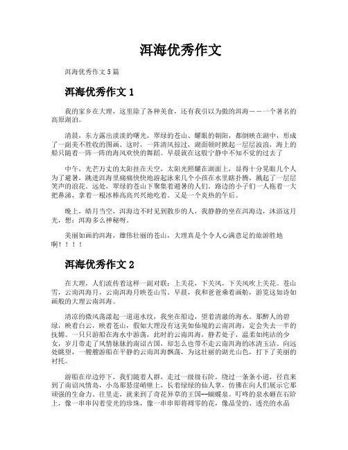 洱海优秀作文