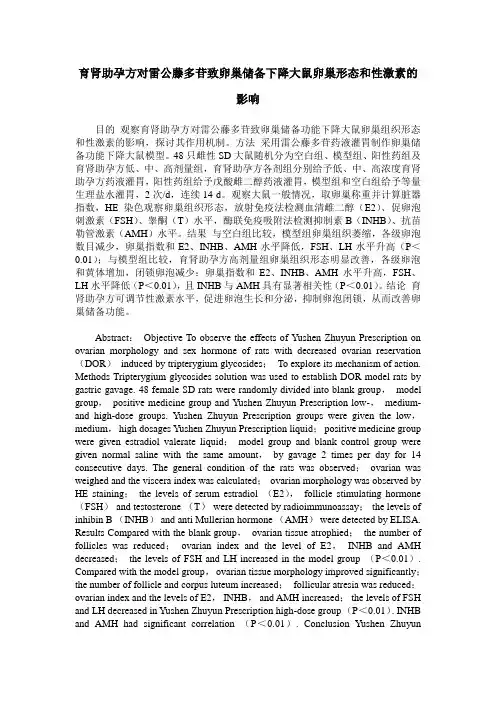 育肾助孕方对雷公藤多苷致卵巢储备下降大鼠卵巢形态和性激素的影响