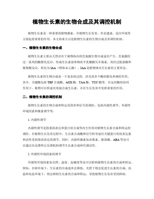 植物生长素的生物合成及其调控机制