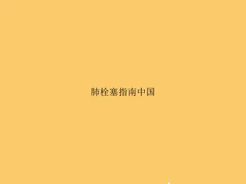 肺栓塞指南中国PPT【完美版】