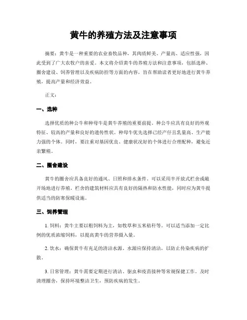 黄牛的养殖方法及注意事项