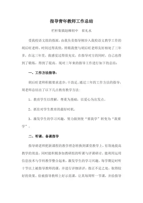 指导青年教师工作总结 2