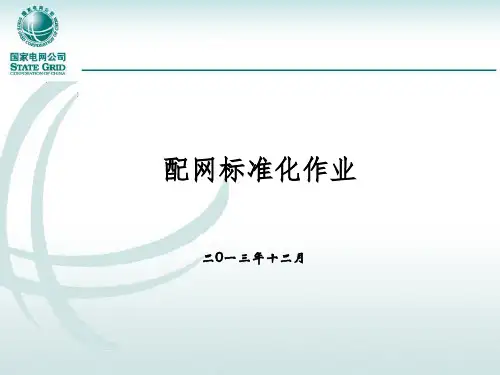配网标准化作业(工作负责人)