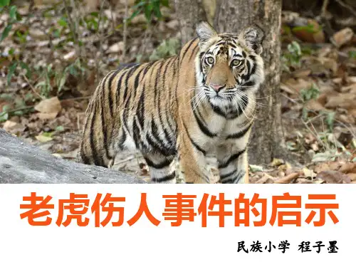老虎伤人事件的启示(程子墨)