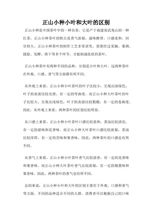 正山小种小叶和大叶的区别