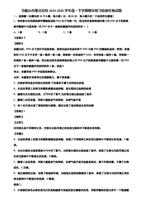马鞍山市重点名校2019-2020学年高一下学期期末复习检测生物试题含解析